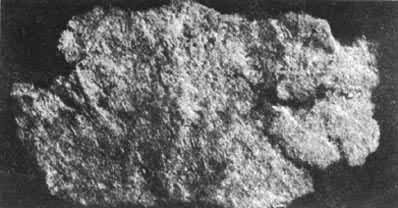 ����ԭʼ��ֲ����άֽ��Ƭ������������ų���