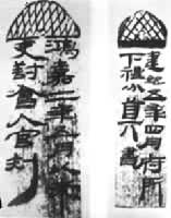 ���Ӻ���