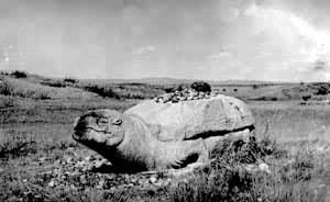 �����򰲹�ʯ��