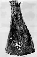 �������ιǲ�����Ƭ