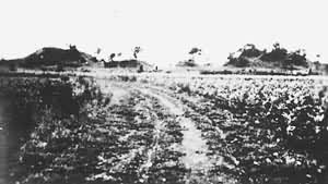 ���Ͼ��糯����ַ��������������