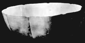 ����״��롡����ͨ�ݳ���