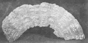 �����������ǲ�Ƭ