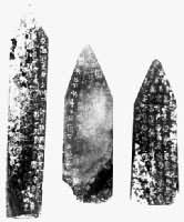 �������顡������ʮ������ʮ���꣨ǰ497��ǰ489��������������ͬ�����������ĵ�Լ������