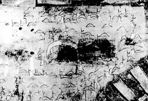 ��Ӫͼש�������������3��Ĺ����