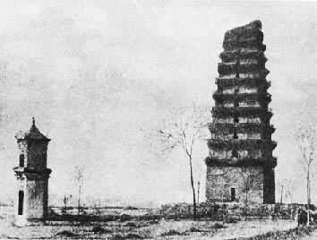 �ƴ���̾����ڷ�Դ�ة���������ż���������������