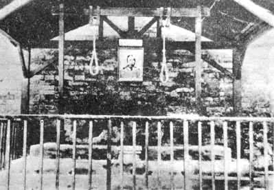 ��������ɱ������ȵĽʼ�