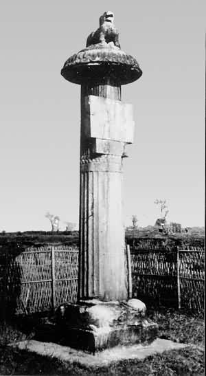 ���Ͽ���������Ĺǰʯ����������վ���