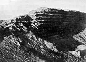 ��������  ����ػ����Ź���