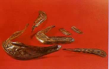 �̽������������� ���ɹų��������Ĺ����