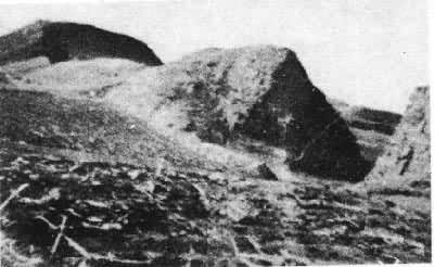 ���о���ǽ��ַ�����ɹ�������