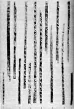 ������ȸɽ��Ĺ��������躡���򣨲��֣�