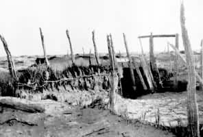 ¥�����еķ����ż� �½�ŵǼ�޲�������