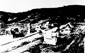 �������Ĺ�������Ͼ�