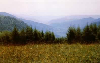 �ӱ�Χ���ص�ľ��Χ��