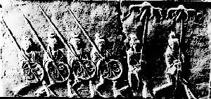 ���̻���ש�����ϵ����ϳ�Ĺ����