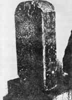 �����±�֮һ