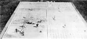 ���﷨ģ��