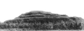 �Ͳ���ʳǻ���̨