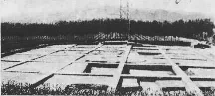 �ɽ���������ַ