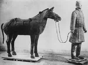 ���ٸ�배��  ���������ر���ٸ�ӳ���