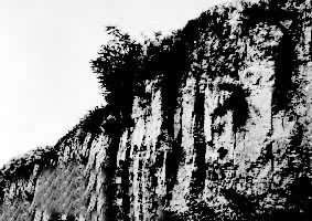 ����������̨���ż�  λ����������������