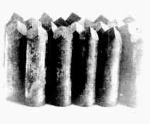 ͭ�  ���������ر���ٸ�ӳ���