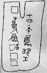 ͭ������