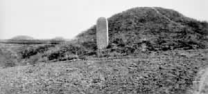 �ض�������Ĺ����������