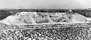 �ض�����������ַ��������������