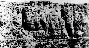 ���������Ǳ�ԫǽ�ż���������������