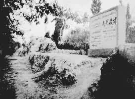 ���ȹʳ��ż����½��⳵