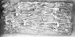 ��������ū�������