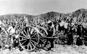 �ն�ս��ʱ�����й��������ձ��ڱ�