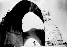 ��ɺ����ɳ�ն�һ��������ַ��242��272�꣩