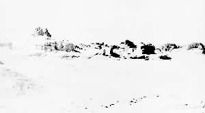 ��ѭ���ż����½���Ǽ