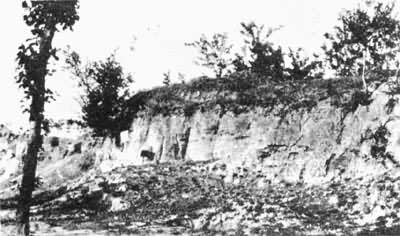 ֣���̳ǳ�ԫ