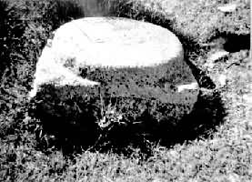 Ԫ�϶���ַ�ڵ�����  ���ɹ�������