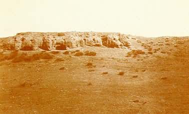 Ԫ�϶���Ҫ������ַ ���ɹ����ֹ�����������