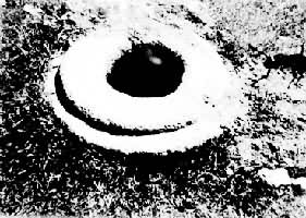 Ԫ�϶���ַ�ڵĹž�����  ���ɹ�������