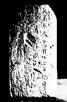 ���ҵ���꣨609���������ש