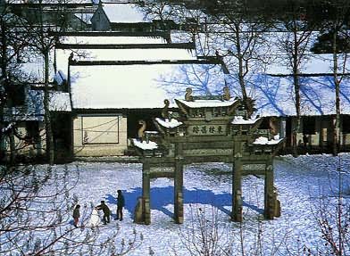 ������Ժ