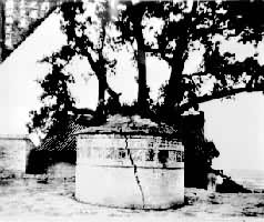 ˾��ǨĹ����������֥����