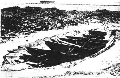 ���κ���������Ȫ�ݳ���