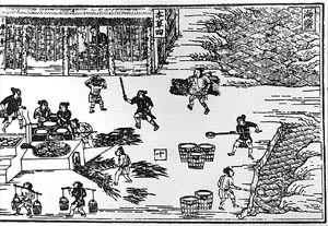 ������֤�౾�ݡ��еĺ�������ͼ