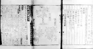 ���������޾�ʷ֤�౸�ñ��ݡ���Ӱ