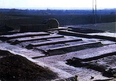 ��������������ַ ��������