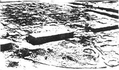 ��������µ���ַ