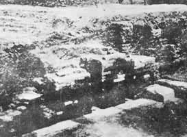 ���������ʳ���Ҵ���ŵ�