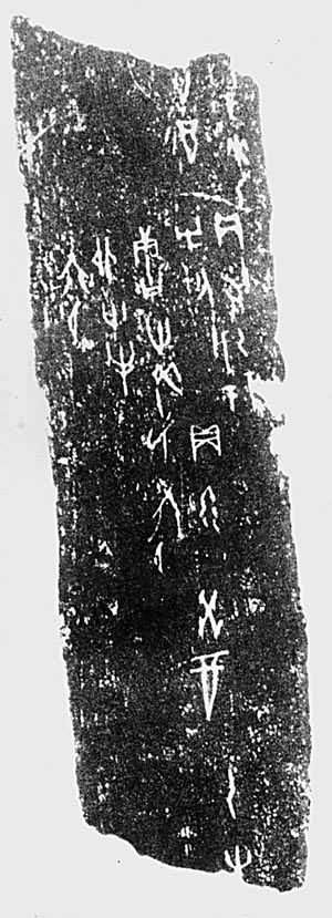 �׹ǲ����е��ƣ���������Ƭ��